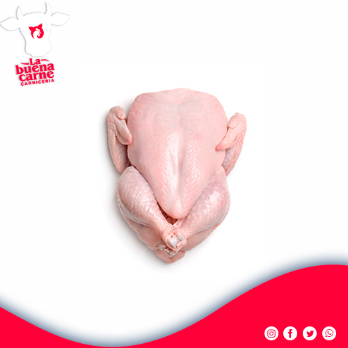 CARNE DE POLLO KG